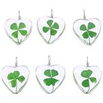 ARTIBETTER 6Pcs Pressed Clover Pendant Heart Time Gem Pendant Dried Four Leaf Clover Charm Jewelry Masking Accessories for DIY Necklace Earring Keychain Mixed Color