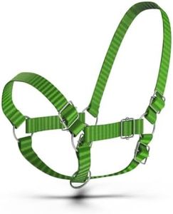 HADZAM Adjustable Nylon Cow Halter one Halter for (1 Year to Full Size)