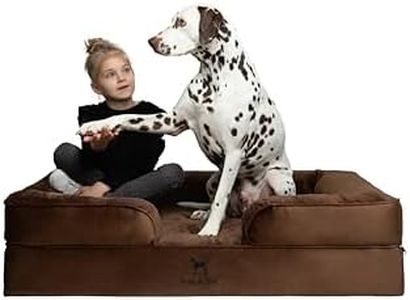 NOAH & PAW