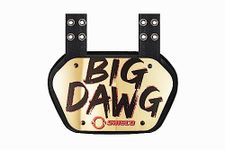 O Shield Big DAWG Golden Chrome Football Back Plate, Lower Back Pads for Football