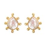 XPNSV Luxury Baroque Pearl Surya Stud Earrings,Jewellery Gift Set for Women & Girls | Anti Tarnish, Light Weight, Diwali Special Jewellery for Women, Girls and Her