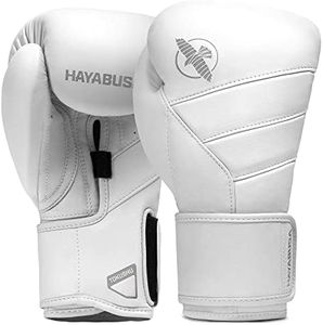 Hayabusa T