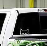 JJTOBER Pack of 2 Peeking Cute Black Cat Vinyl Stickers Decal for Truck Van Car Drawer Windows Cup Laptop Wall Vinyl Bumper Sticker Metals Water Bottles Hard Smooth Surfaces | 4x2.5" Inches