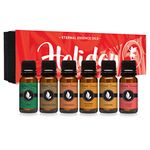 Holiday Gift Set of 6 Premium Grade Fragrance Oils - Candy Cane, Pine Needle, Pumkin Patch, Cinnamon, Caramel, Snickerdoodle - 10Ml - Scented Oils