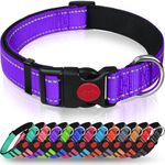 Taglory Reflective Nylon Dog Collar with Safety Buckle, Adjustable Pet Collars with Soft Neoprene Padding for Small Dogs, Purple