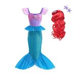 Lito Angels Little Mermaid Princess Fancy Dress Up Costume Birthday Party Outfit with Hair Wig for Kids Girls Age 3-4 Years, Purple Blue (Tag Number 110)