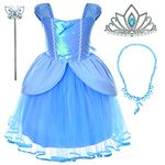 Princess Fairy Costume Toddler Girls Birthday Dress Up With Tiara (4T 5T)