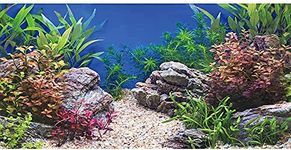 Aquarium Backgrounds