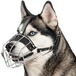 CleverTail Metal Husky Muzzle for Large Sized Dog – Basket Muzzle for Dogs with Adjustable Leather Straps – Steel Cage Dog Muzzle to Prevent Biting and Eating – Mouth Guard for Large and Medium Dogs