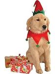 Rubie's Christmas Pet Costume, Medi