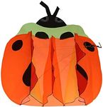 IMAGE 3D Kite Large Orange Ladybird Breeze Beach Kites with Huge Frameless Soft Parafoil Giant,Gift for Kids,Family
