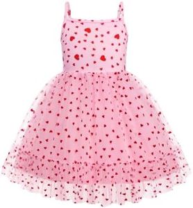 Arshiner Baby Girls Tulle Dress Pink Heart Tutu Party Princess Dresses Formal Photo Shoot Outfit Spring Clothes 2t
