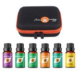 Essential Oil Gift Set Travel Case – 6 x 10ml Essential Oils – Lavender, Peppermint, Tea Tree, Orange, Eucalyptus, Lemon – Aromatherapy Bottle Zip Storage Carry Kit – Free Tools