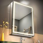 GANPE LED Lighted Bathroom Medicine Mirror Cabinet with Single Door Defog, Stepless Dimming, Memory 3 Colors Mode, Memory Shelves, Socket and USB
