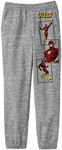 Bioworld The Justice League The Flash Multi Character Youth Heather Gray Sweat Pants-Small