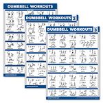 Palace Learning 3 Pack - Dumbbell Workout Posters for Home Gym - Volume 1, 2 & 3 - Exercise Charts (Laminated, 18" x 24")