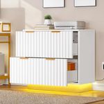 DWVO Modern File Cabinet with Led Light, 2 Drawer Filing Cabinet, Large Lateral Storage Cabinet for Home Office, White