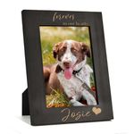 Personalized Dog Picture Frame - 2 Size/7 Colors Engraved Dog Memorial Picture Frame,Dog Memorial Gifts For Loss Of Dog,Pet Memorial Gifts For Dogs D