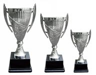 Personalised Silver Presentation Cup Trophy Award for Any Sport Engraved Free - Enter Your Own Custom Text (Large)