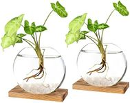 PACDONA Plant Propagation Station Tabletop Glass Planter Terrarium with Wooden Stand Round Hydroponic Vase for Small Plants Cuttings Home Office Decor, 2 Pack, Brown