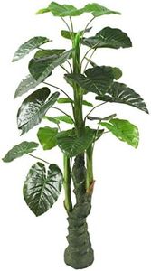 HYPERBOLES Artificial Tree Indoor Money Plant Home Decorative Green Tree - 4.5 Feet