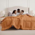 Bedsure Comforter Duvet Insert - Qu