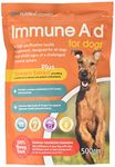 Immune System Boost For Dogs