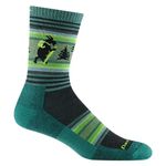 Darn Tough Men's Willoughby Micro Crew Lightweight Hiking Sock (Style 5003) - Willow, Large