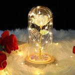 Mothers Day Rose Gifts for Mom, Valentines Day Gifts Birthday Gifts for Women Girlfriend, Colorful Artificial Flower Galaxy Rose in Glass Dome with LED Light for Wife Grandma on Anniversary, Wedding