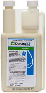 Demand CS 