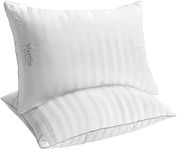 Martha Stewart Queen Size Pillows S