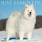 Just Samoyeds 2023 Wall Calendar