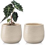 Oairse 5.5"/14CM Ceramic Plant Pots Indoor Set of 2 Ceramic Planter with Drainage Holes Decorative Flower Pots Garden Pot for Succulent Cactus House Plants