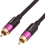 Amazon Basics RCA Audio Subwoofer C