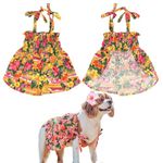 Parisian Pet Dog Summer Camp Hawaiian Flower Tropical Dress, S