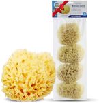 Baby Buddy Natural Wool Sea Sponge, Newborn Bath Time Essential, Ultra Soft for Delicate Skin, Hypoallergenic and Biodegradable, 4 Pack