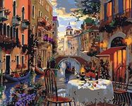 Newsight Paint by Numbers for Adults & Kids & Beginners DIY Acrylic Painting Gift Kits Drawing Paintwork with Paintbrushes 16 * 20inch Venice Street