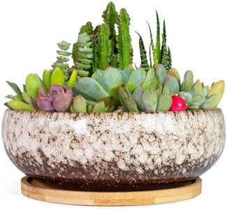 ARTKETTY Succulent Pots - 7.5 Inch Large Plant Pot with Bamboo Tray, Shallow Bonsai Pots with Drainage, Ceramic Planter for Indoor Plants, Cactus, Home Office Desk Decor