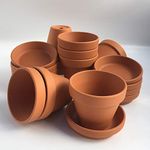 Weston Mill Pottery Small terracotta plant pots and saucers [F8/S9](pack of 10) 80mm diameter x 70mm high