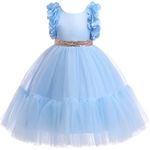 Weileenice Flower Girl Dress Light Blue Ruffle Tulle Sequin Toddler Wedding Pageant Birthday Party Dance Prom Ball Gown 4 5 Little Girls Bridesmaid Princess Reception Formal Evening Puffy Dresses