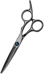 FARRAY 6.5" Professional Hair Cutting Scissors - Japanese Stainless Steel Barber Shears for Salon, Home, All Ages - Ergonomic Handle & Sharp Blades (Black)