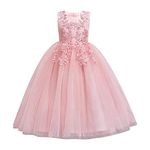 Flower Little Big Girl Lace Embroidery Tulle Sequins Dress Princess Pageant Birthday Party First Communion Wedding Bridesmaid Formal Floor Long Dance Evening Maxi Gown Pink 9-10 Years