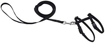 Coastal - Harness with 6' Leash, Black, 3/8” x 11”- 18”