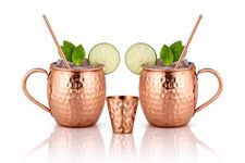 BOLD & DIVINE Moscow Mule Copper Mugs - Set of 2, 100% HANDCRAFTED - Food Safe Pure Copper Solid Mugs - 16 oz Gift Set with Premium Quality Cocktail Straws & Shot Glass!