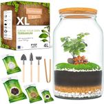 DIY Terrarium Kit XL PYEF CRAFTS - 