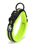 Vivi Bear Padded 3M Night Vision Reflective Stripes Soft Breathable Mesh Dogs Collar, Comfy And Soft Adjustable Collar For Small/Medium/Large Dogs, Easy Buckle Design, Green 8 Sizes (#4 M(Neck 40-45cm))