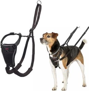 HALTI No Pull Harness - To Stop Your Dog Pulling on the Leash. Adjustable, Lightweight and Easy to Use. Reflective Dog Training Harness for Small Dogs (Size S, Black)