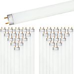 LUXRITE 30-Pack F32T8/850 32W 48 Inch T8 Fluorescent Tube Light Bulb, 5000K Bright White, 2800 Lumens, G13 Medium Bi-Pin Base, LR20734