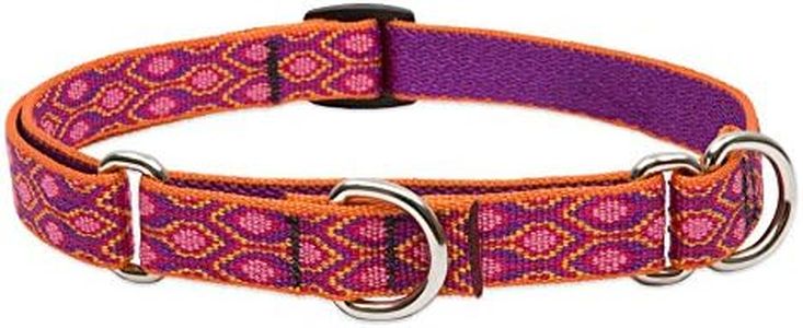 LupinePet Originals 3/4" Alpen Glow 14-20" Martingale Collar for Medium and Larger Dogs