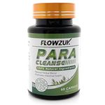 Colon Cleanse For Parasites